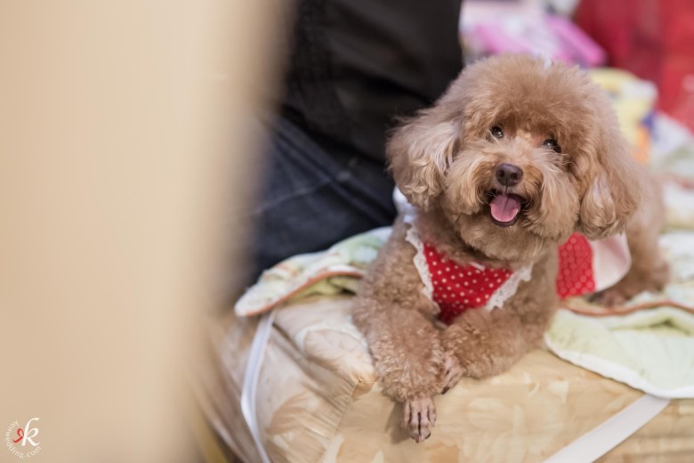 %e5%a9%9a%e7%a6%ae%e7%b4%80%e9%8c%841119-15