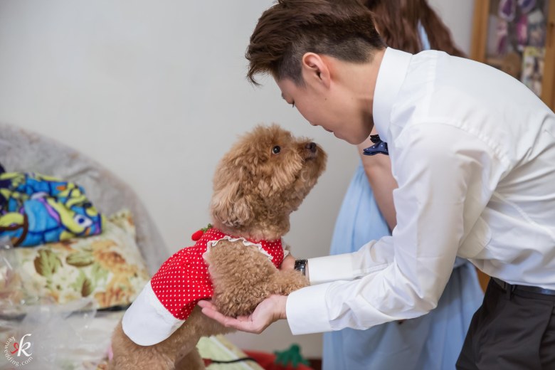 %e5%a9%9a%e7%a6%ae%e7%b4%80%e9%8c%841119-33